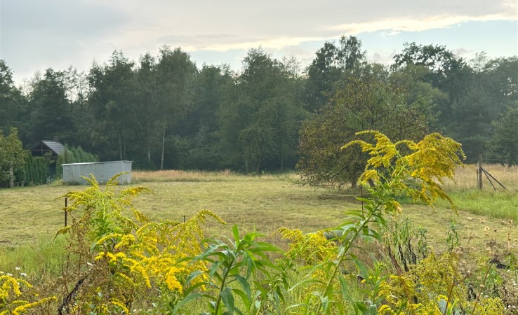 działka na sprzedaż - Libiąż