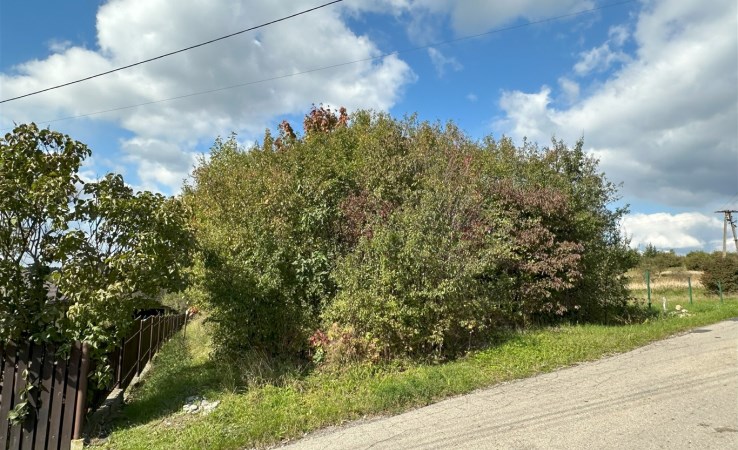 działka na sprzedaż - Chrzanów (gw), Luszowice